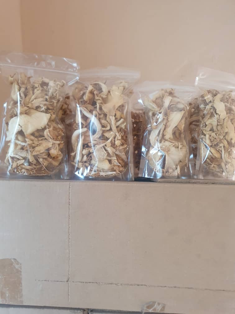 Mushroom Product 5 Image